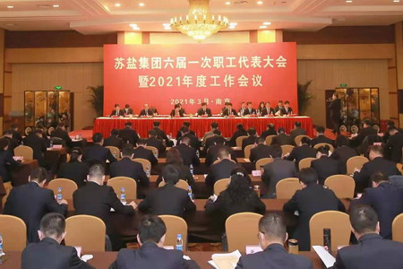 蘇鹽集團隆重召開六屆一次職工代表大會 蘇鹽集團隆重召開六屆一次職工代表大會