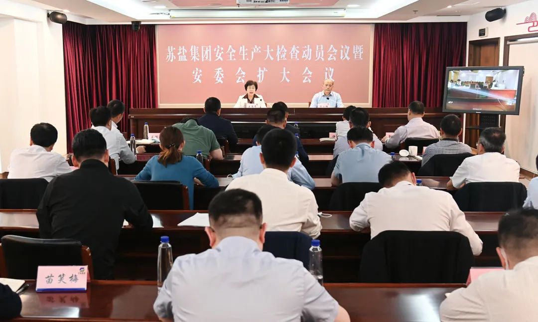 蘇鹽集團召開安全生產大檢查動員會暨安委會第二次全體(擴大)會議 蘇鹽集團召開安全生產大檢查動員會暨安委會第二次全體(擴大)會議