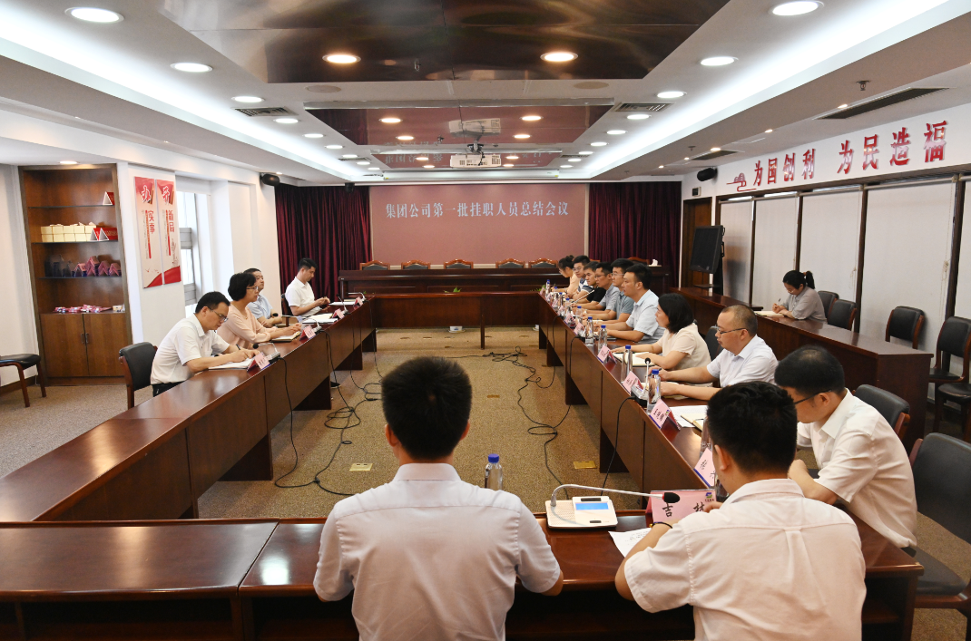 蘇鹽集團黨委召開第一批掛職人員總結會議 蘇鹽集團黨委召開第一批掛職人員總結會議