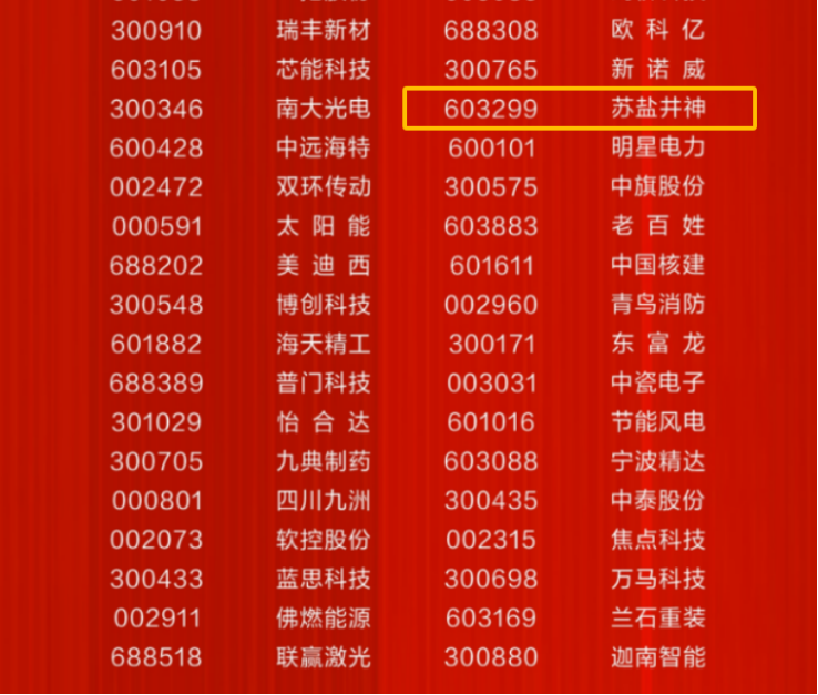 蘇鹽井神公司榮登“中國上市公司成長百強”榜單