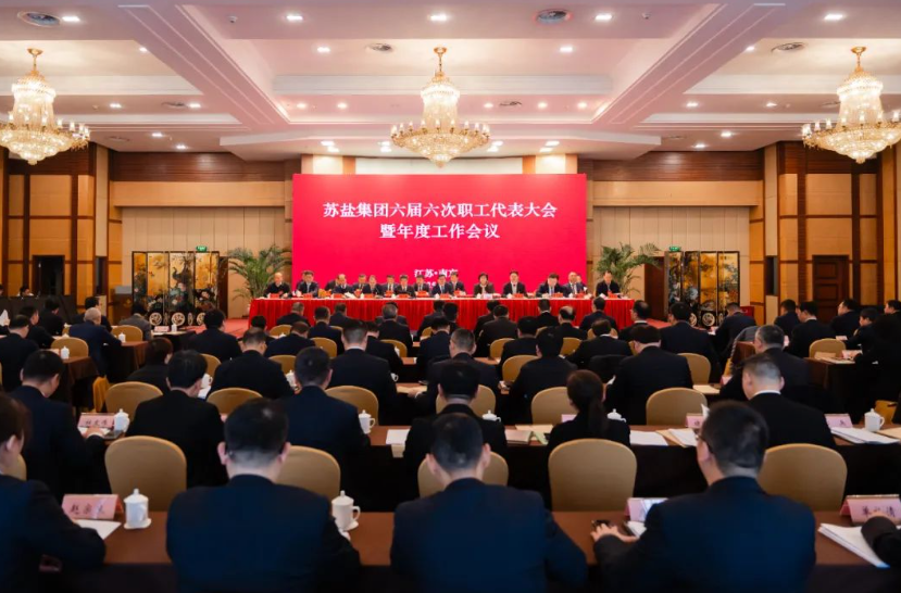 蘇鹽集團(tuán)召開六屆六次職工代表大會(huì)暨2025年度工作會(huì)議